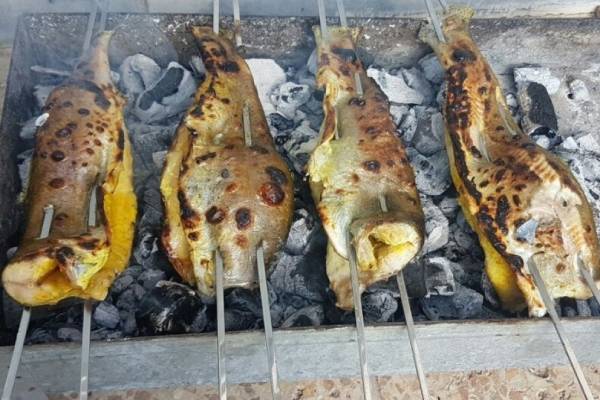 https://shp.aradbranding.com/قیمت ماهی اوزون برون کبابی با کیفیت ارزان + خرید عمده